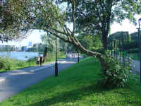 Image12.jpg (136293 tavu(a))