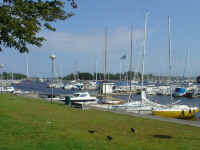 Image13.jpg (76035 tavu(a))